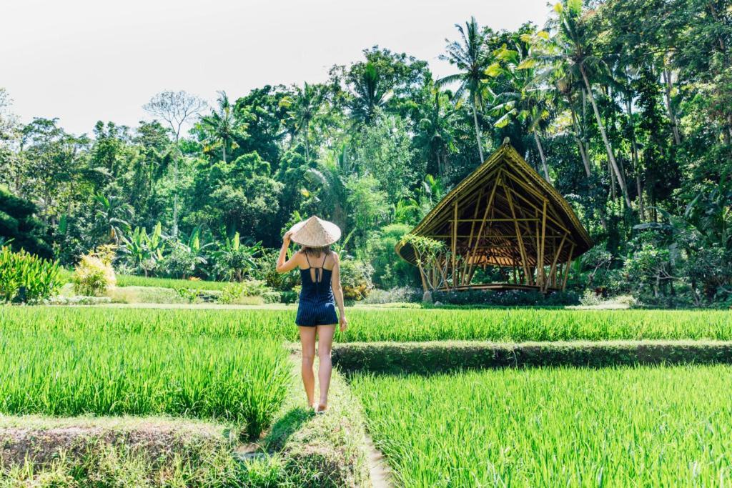 Luxenomads Tanah Lot Oceanview Escape Villa Tabanan  Luaran gambar